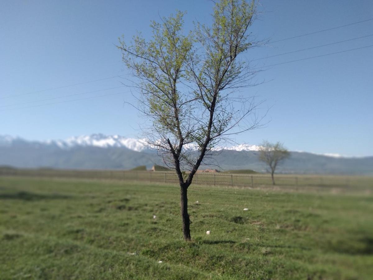 Уютный Ночлег Иссыкские Курганы Rahat Dış mekan fotoğraf